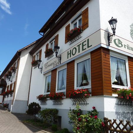 Hotel Landgasthof Gruener Baum Hochdorf  Eksteriør billede