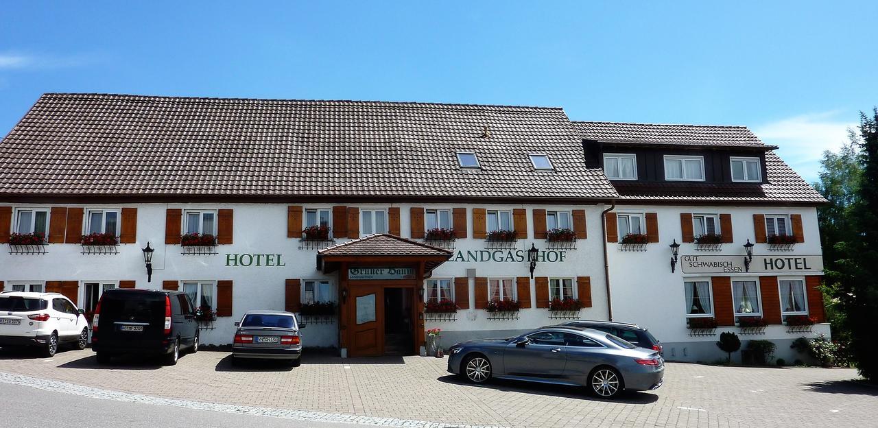 Hotel Landgasthof Gruener Baum Hochdorf  Eksteriør billede