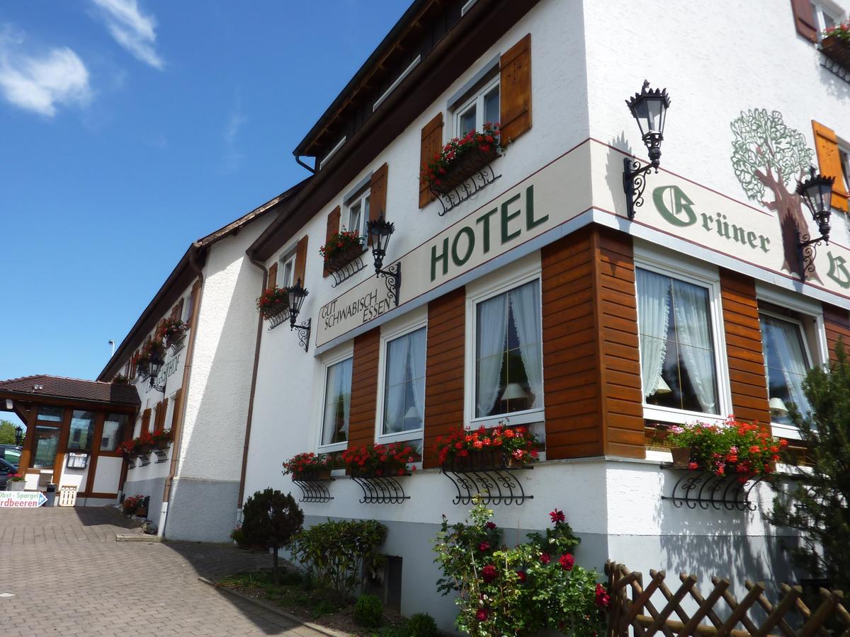 Hotel Landgasthof Gruener Baum Hochdorf  Eksteriør billede